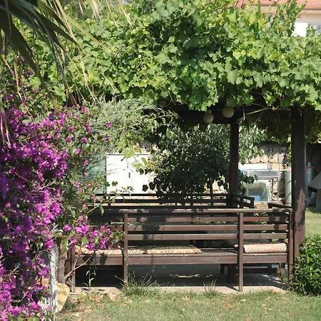 Coral Oludeniz